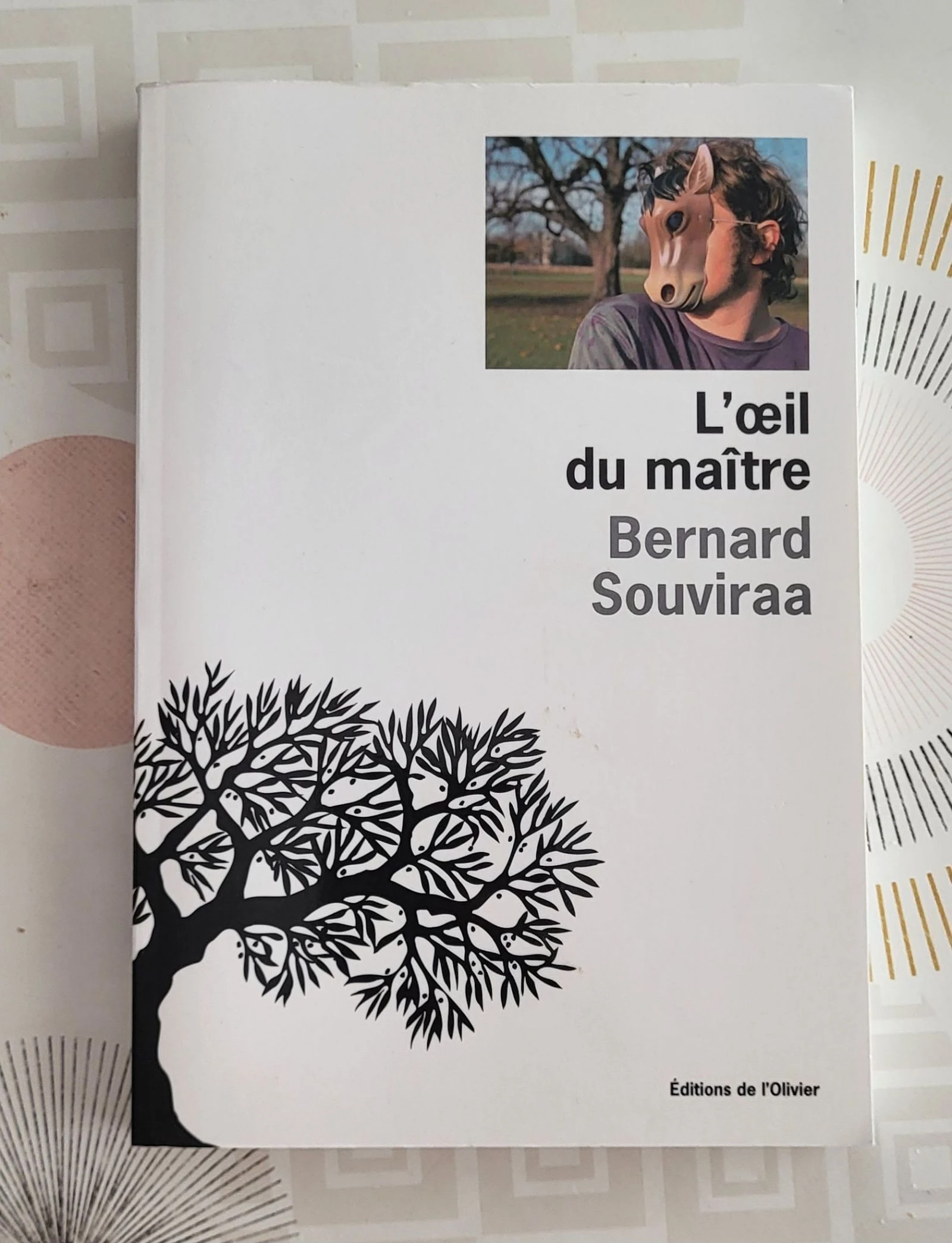 Lote de 9 livros 📚 : Thrillers, Romances etc – photo 19